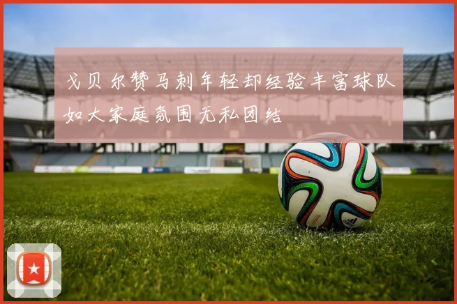 戈贝尔赞马刺年轻却经验丰富球队如大家庭氛围无私团结